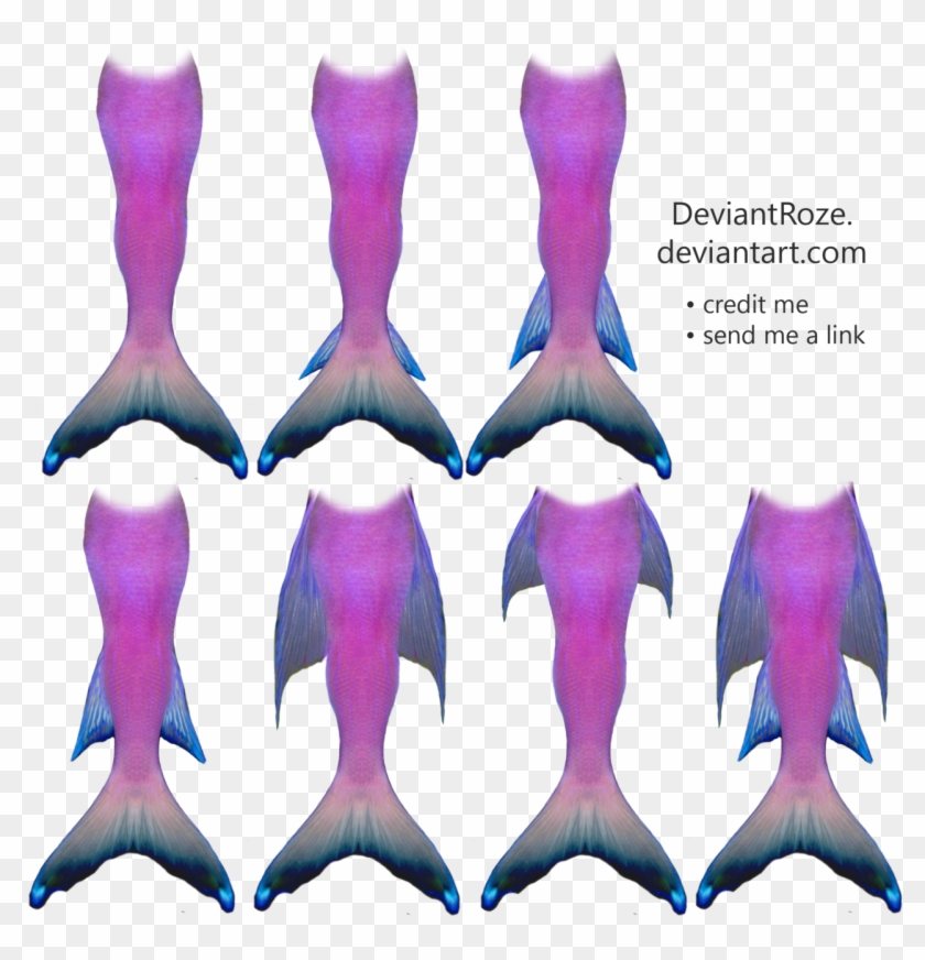 Pink Mermaid Tail Clipart - Drawing A Mermaid Tail #579391