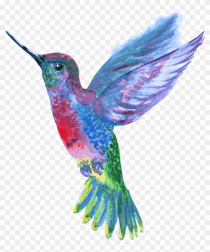 Hummingbird Drawing - Humming Bird - Drawing #579721
