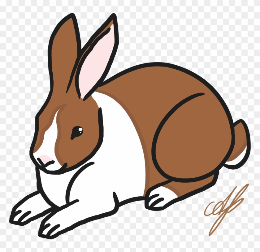 Dutch Rabbit By Avajes - Dutch Rabbit By Avajes #580254