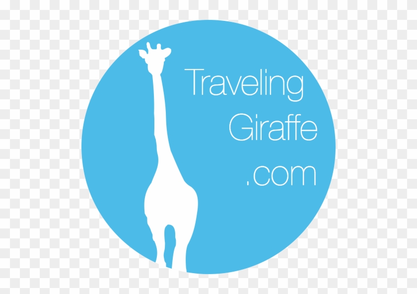   Giraffe #580797