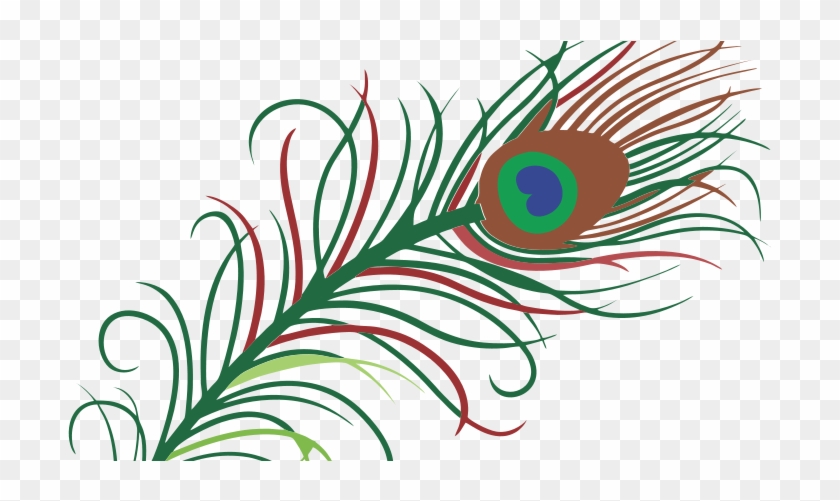 Transparent Background Peacock Feather #581021