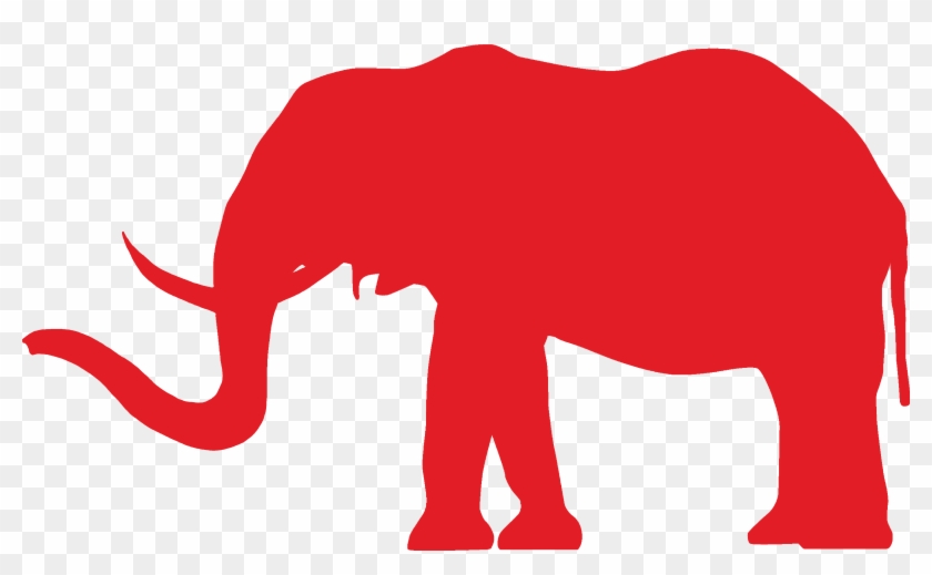 Conservative Elephant - Conservative Elephant #581178