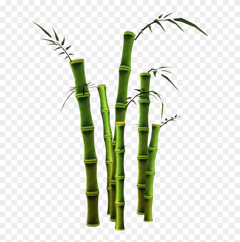 Bamboo Png #581378