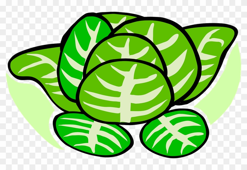 Cabbage Clipart 1 - Cabbage Clipart 1 #582224