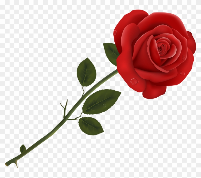 Яндекс - Фотки - Happy Rose Day #582388
