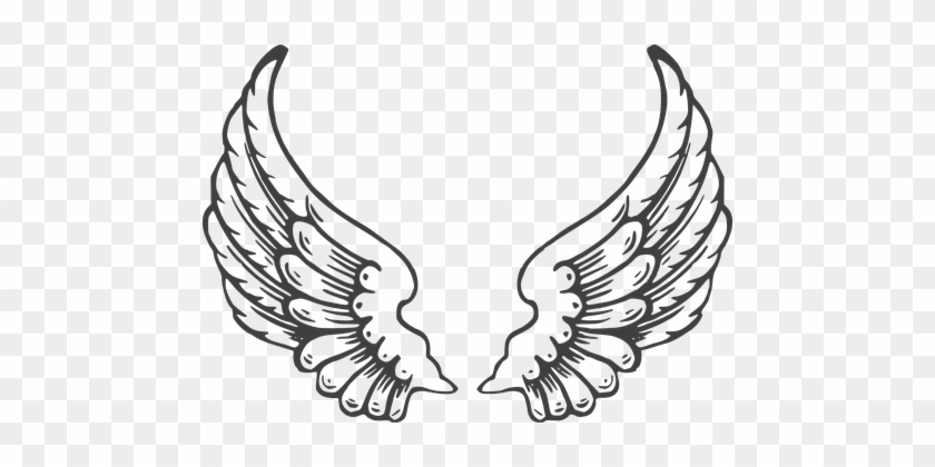 Wings White Wing Isolated Symbol Feather W - Angel Wings #583672