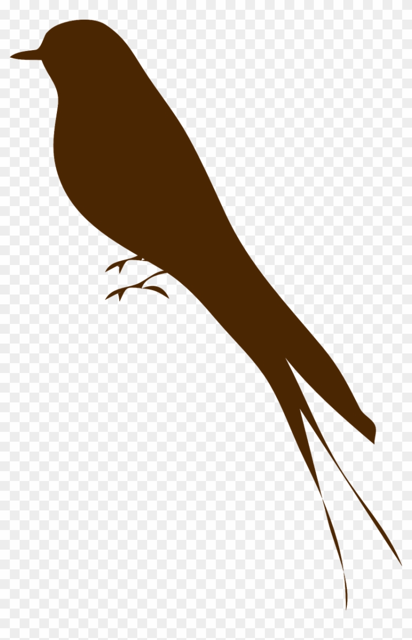 How To Draw A Bird, How To Draw A Swallow - Bird Silhouette #584815