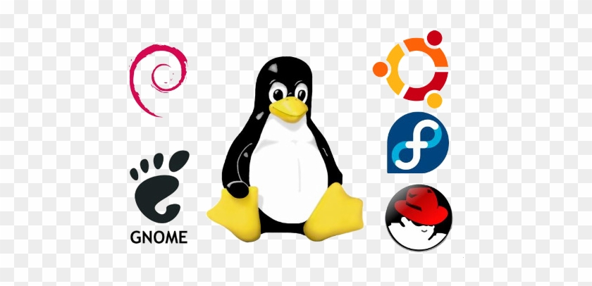 En Esta Guía Tutorial Te Enseño Cómo Usar Wordpress - Red Hat Linux #584857