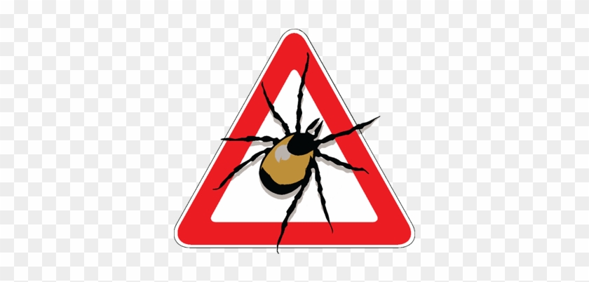 Tick Sign Eliminate - Tick Sign Eliminate #585046