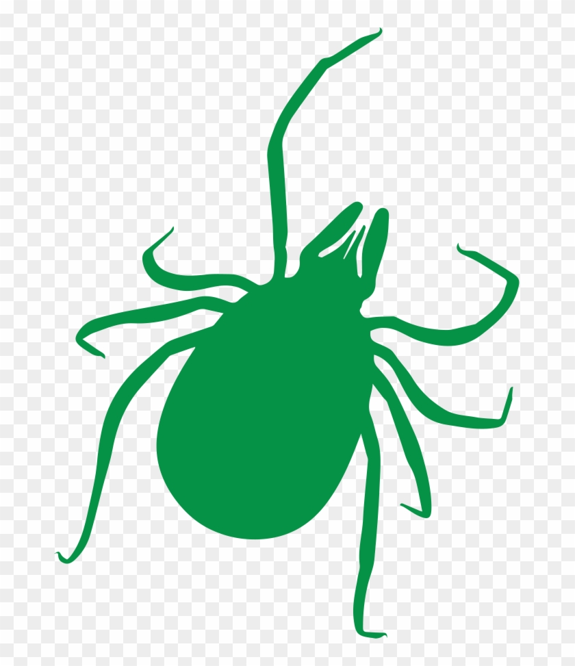 Tick - Tick Model 3d #585061
