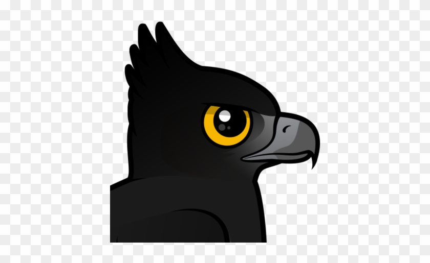 About The Black Hawk-eagle - Black Hawk-eagle #585242