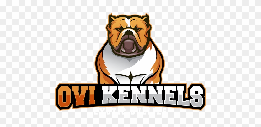 Exotic Bullies For Sale - American Bully Kennel Logos #585350