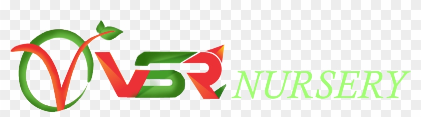 Vsr Nursery Vsr Nursery - Graphic Design #585362