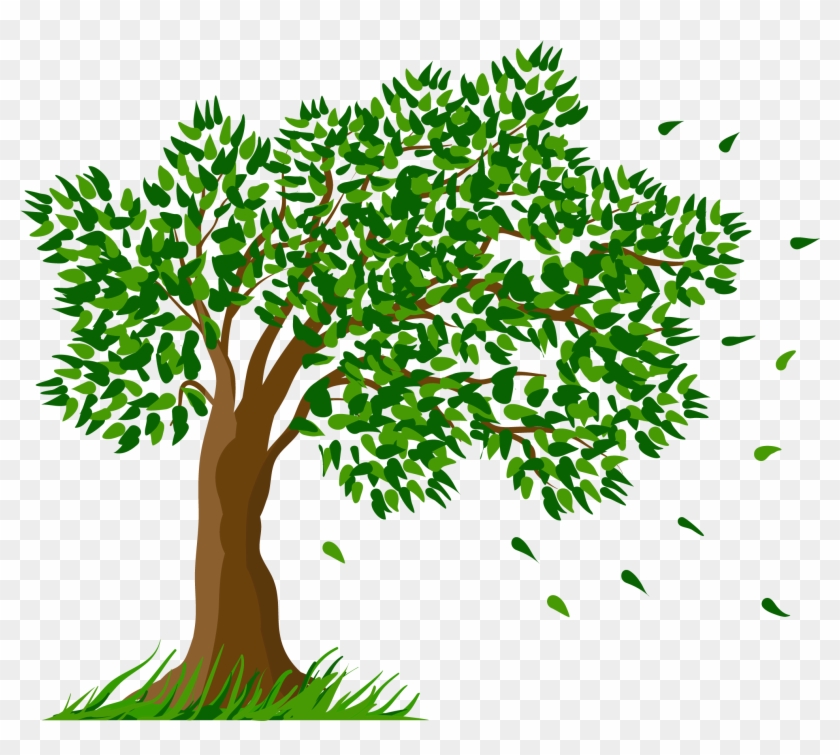 Tree Transparent Clipart Picture - Transparent Background Tree Clipart #585611