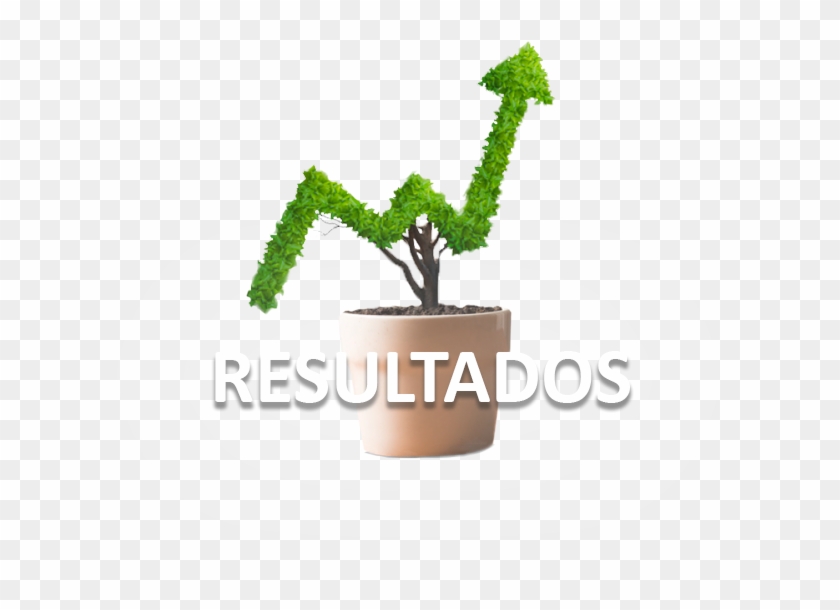 ¡cotizar Ahora - Investing For Beginners: Learn About Personal Finance, #586134
