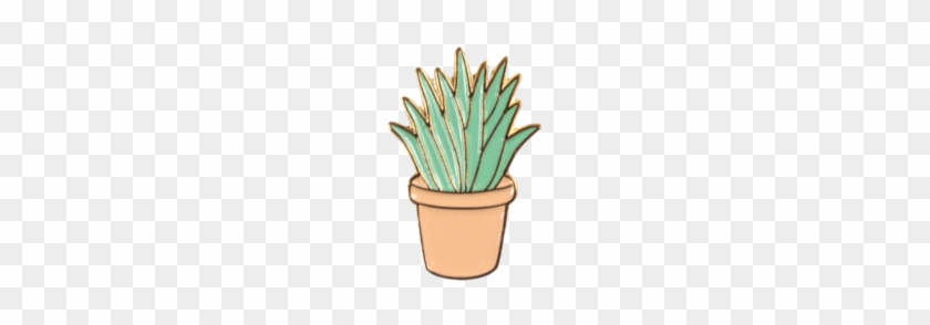 Gallopjoy Creative Cute Cactus Lotus Flower Grass Aloe #586275