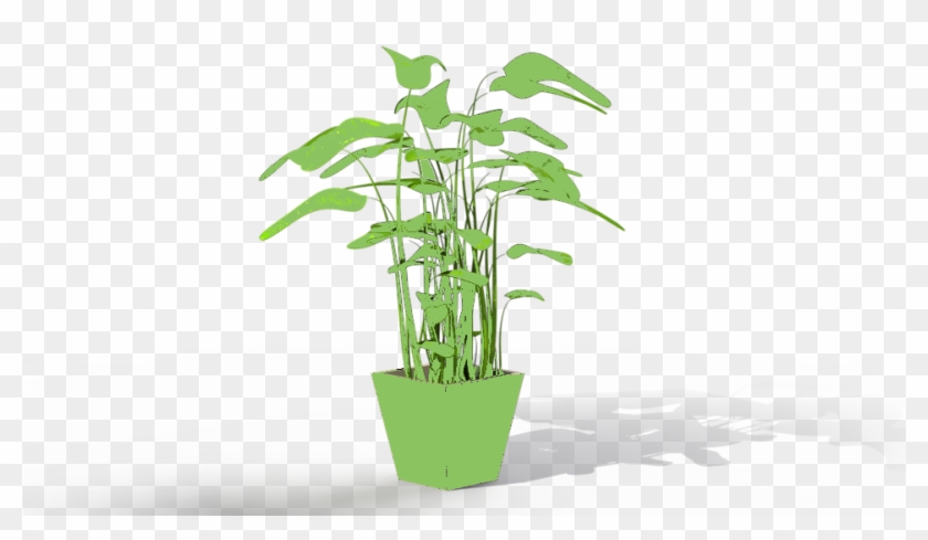 Perishable-1 - Houseplant #586283