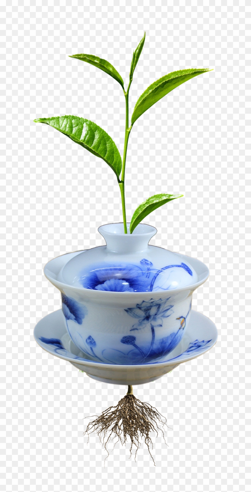 Mug Teacup Ceramic Computer File - Mug Teacup Ceramic Computer File #586515