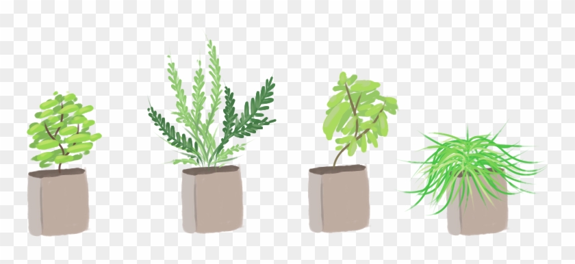 Plantos By Gaikuu - Houseplant #586613