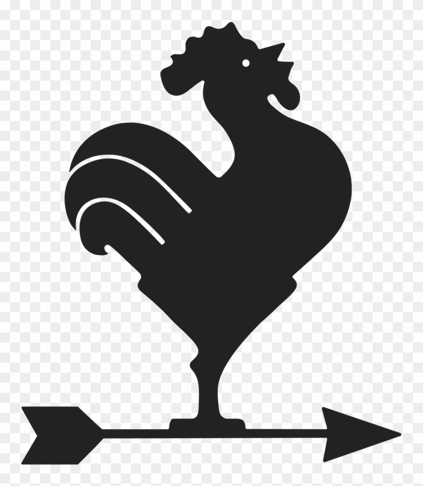   Rooster #587044