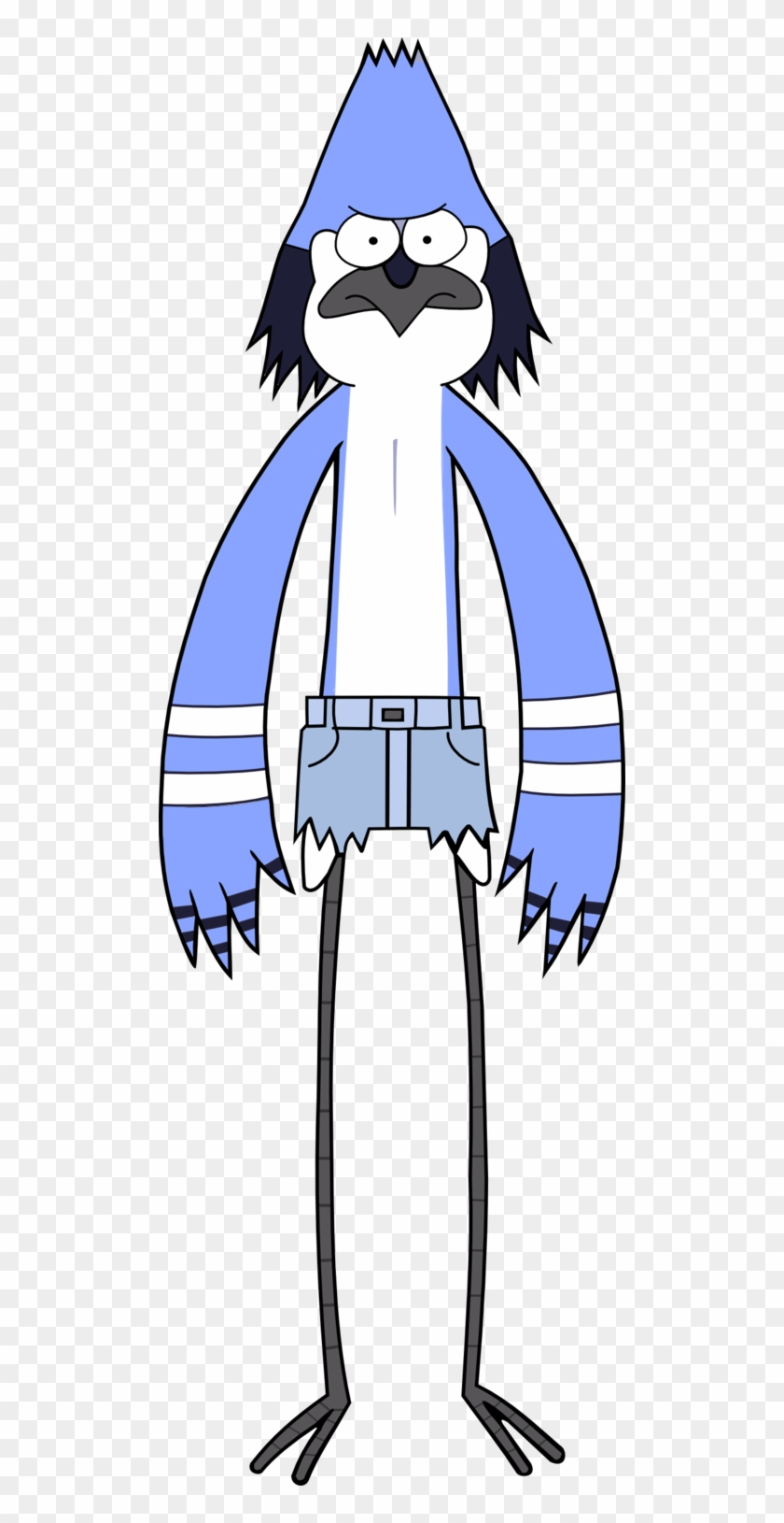 Mordecai Rigby Cartoon Network Photography - Regular Show Mordecai Mullet #587564