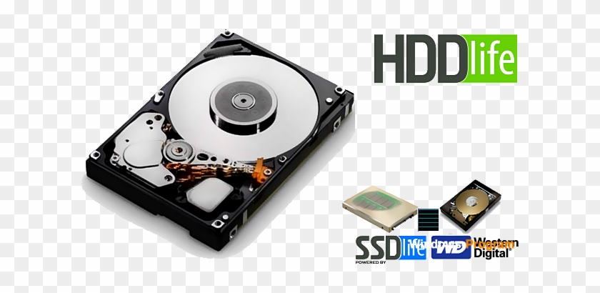Ibm 146gb 10000rpm Sas 6gb/s Sff 2.5-inch Hard Disk #589088