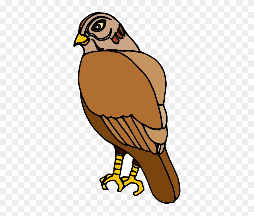 Hawk Clip Art - صقر كليب ارت #104032