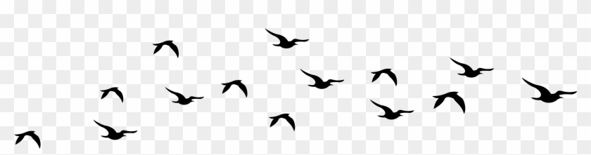Clip Art Flying Bird Silhouette Cliparts Free Download - Birds Flying Silhouette Png #104141