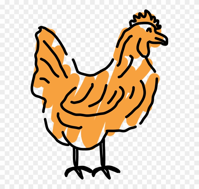 Scribble Outline, Bird, Style, Chicken, Art, Scribbled, - Chicken Outline Transparent #104462