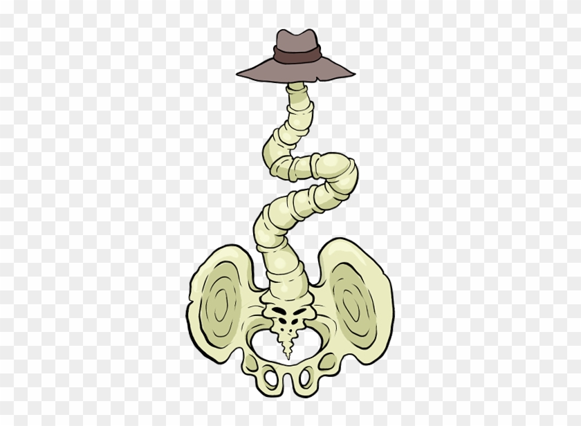 Spine - Spine #593966