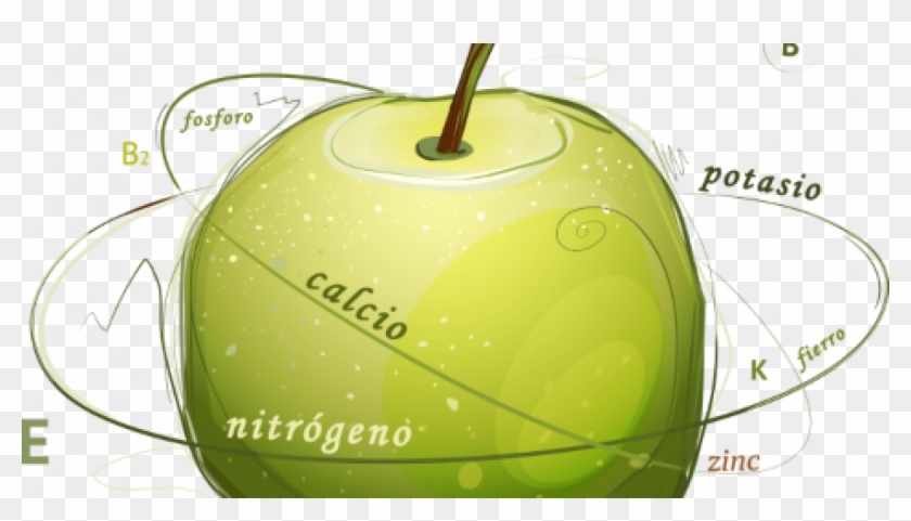 Nutricion Vegetal #595019