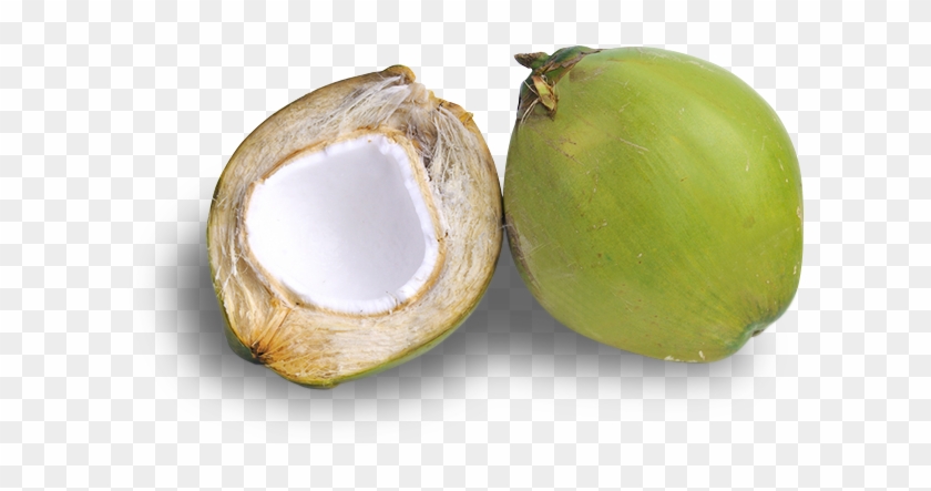 Aluminio, Hierro, Zinc, Cobre, Plata, Cromo, Fósforo, - Avocado #595112