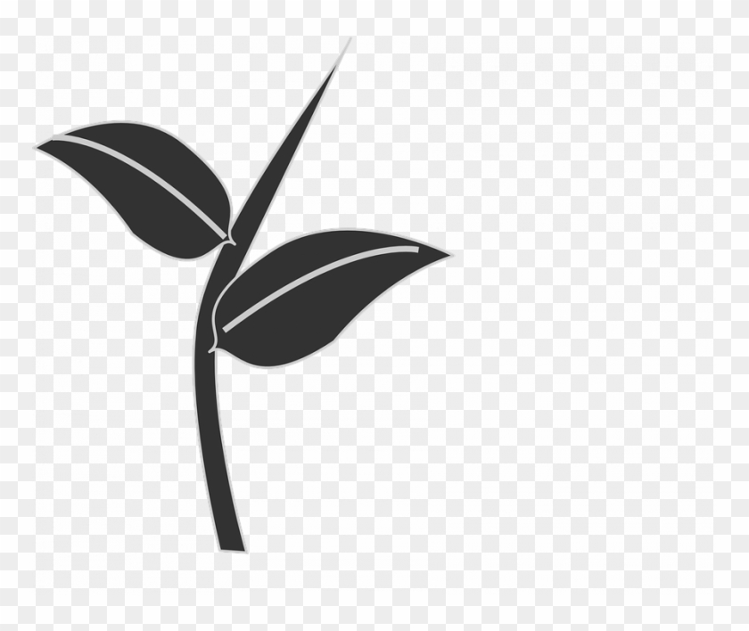 Leaf Stem Clipart Leaves Plant Stem Free Vector Graphic - Stem And Leaf Vector #596342
