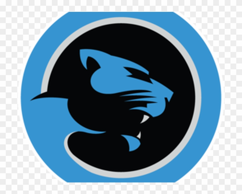 A Summary Of Posts About The Panthers - Carolina Panthers #596363