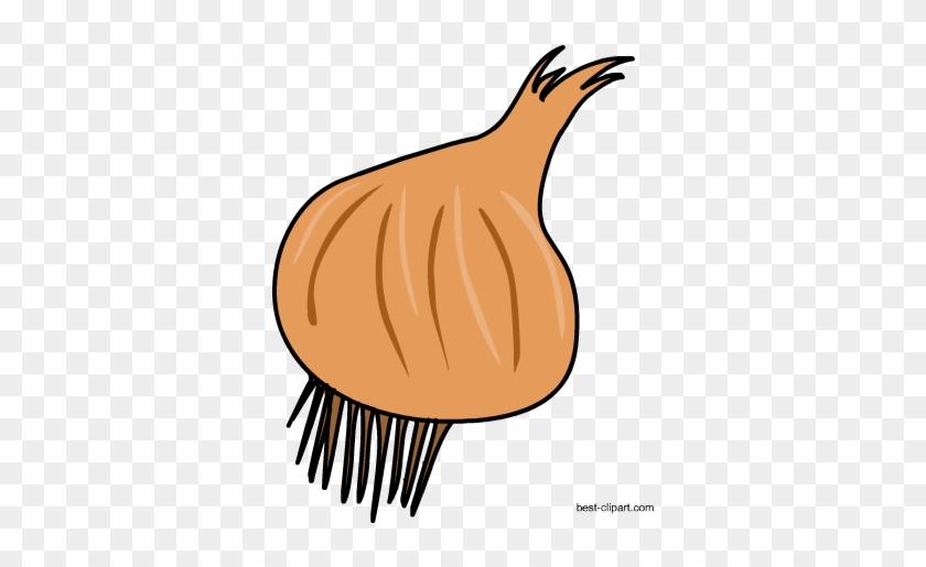 Onion Clip Art Free - Clip Art #598079