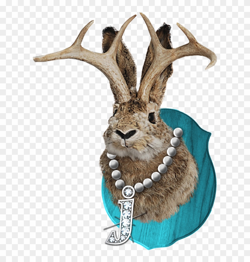 Reindeer #598923