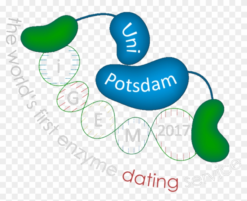 Igem Potsdam - Igem Potsdam #599201