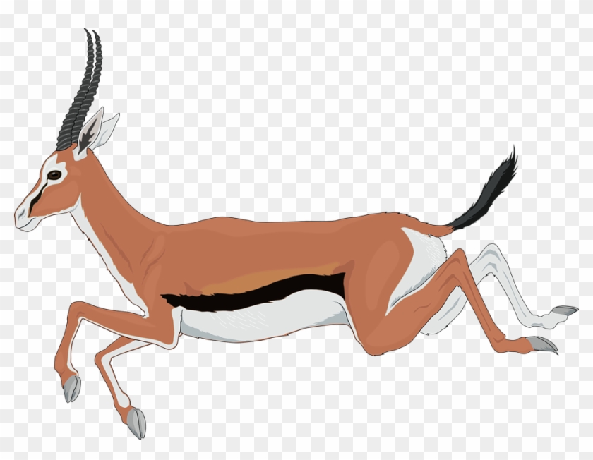 Antelope Clipart #599788