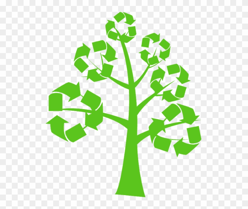 Photo - Public Libraries Going Green By Kathryn Professor Miller #599859
