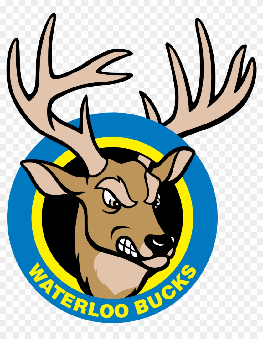 Friday Night, August 4, Is Cedar Valley Sportsplex - Waterloo Bucks #600400