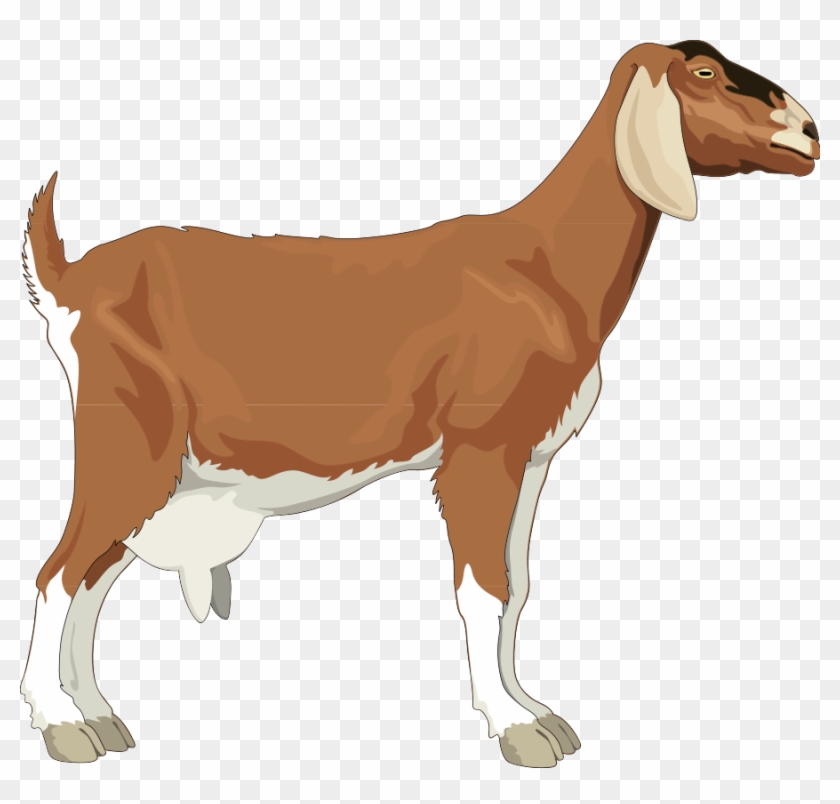 Goat Clip Art Images Free Clipart Images Clipartcow - Goat Vector #603015