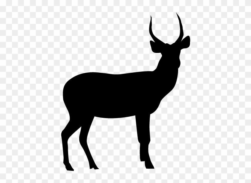 View All Images-1 - Silhouette Of A Reindeer #604076