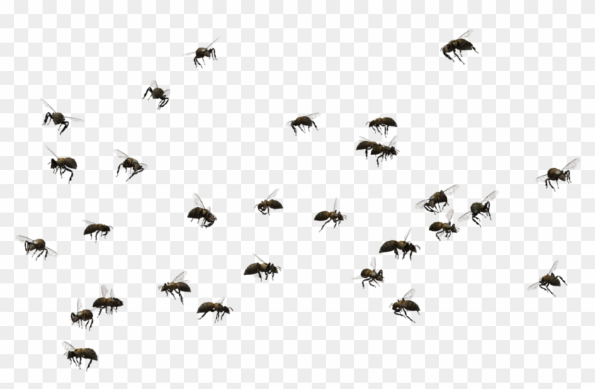 Bee Swarm 02 By Free Stock By Wayne - Swarm Of Bees Png #607105