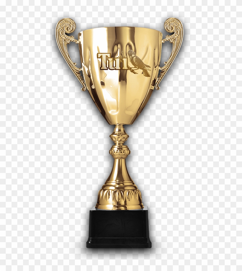 Leaderboard - Trophy #610648