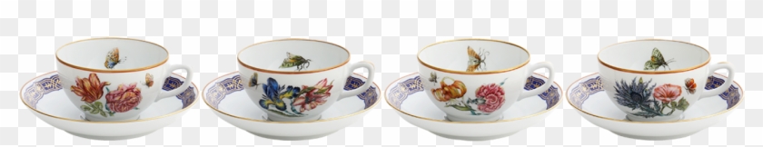 Mottahedeh Merian Cup #610897