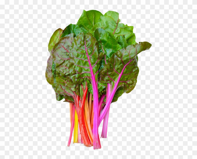 Rainbow Swiss Chard Png Image - Chard Transparent Background #613547