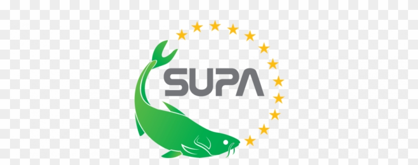 Eu Supports Funding Of Sustainable Catfish Supply Chain - Cá #614570