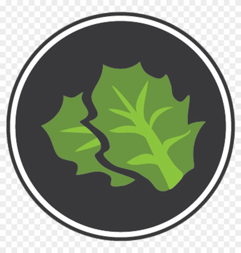 Food Lifecycle Management Is A Core Competency For - University Of Finance And Marketing #614573