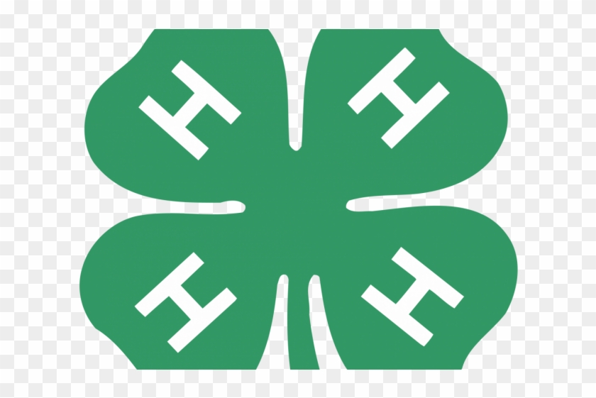 4-h Animal Sciences Intern - 4 H Clover #616083