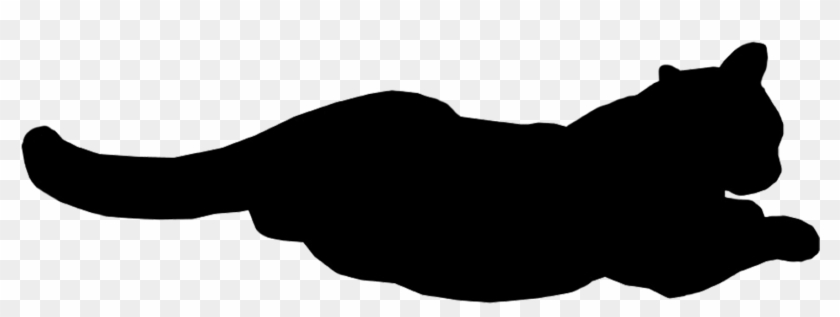 Cat Relaxed - Black Cat Gif Png #617025